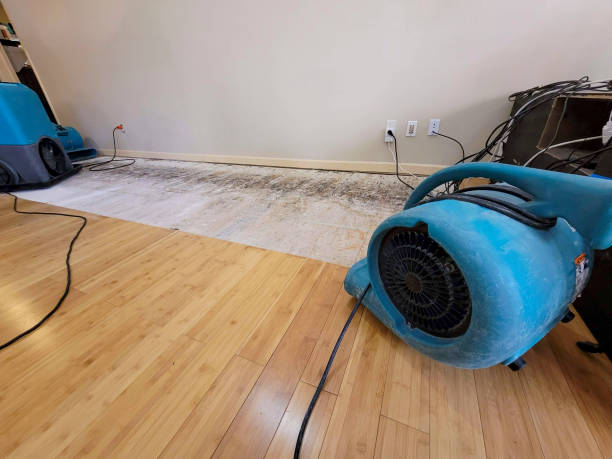 Professional Basement Flood Cleanup technician working in Bancroft, WV